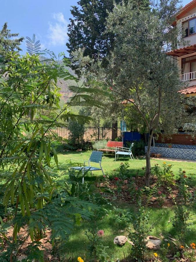 Adrasan La Casita Hotel Kültér fotó